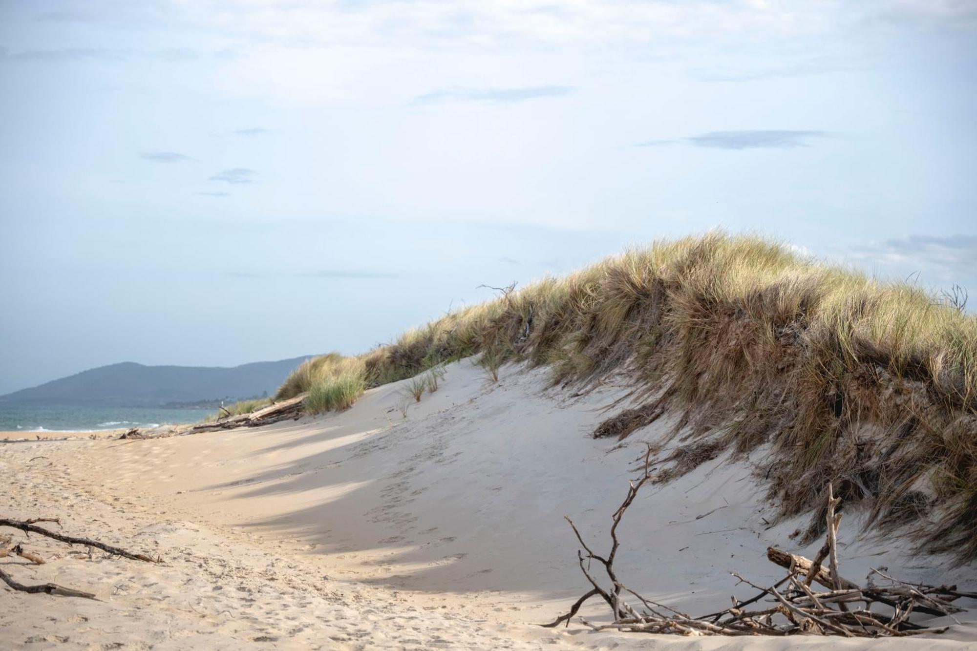 Blue Seas Holiday Villas Scamander Buitenkant foto