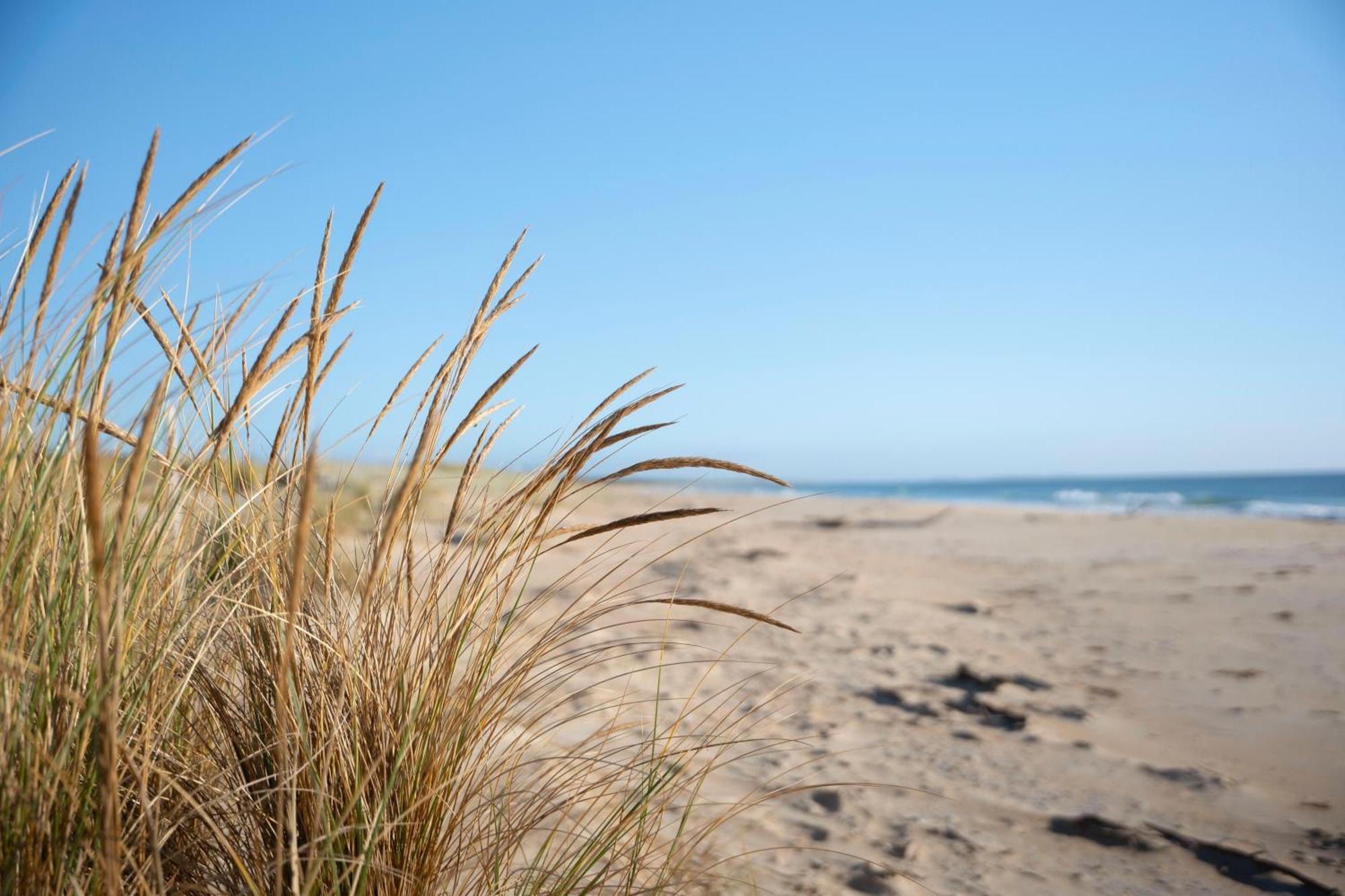 Blue Seas Holiday Villas Scamander Buitenkant foto
